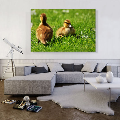 Ducklings In Yard Home decor