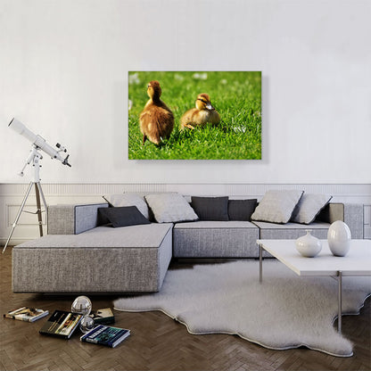 Ducklings In Yard Home decor