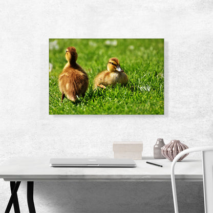 Ducklings In Yard Home decor
