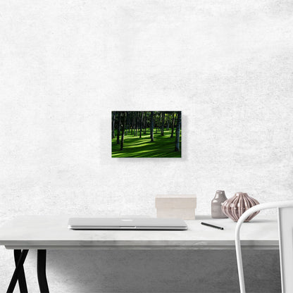Exotic Forest Home Decor Rectangle