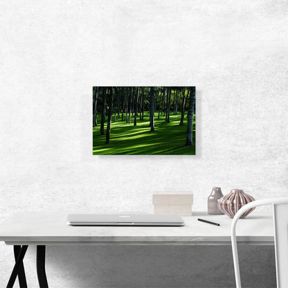 Exotic Forest Home Decor Rectangle