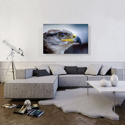 Falcon Bird Zoo decor