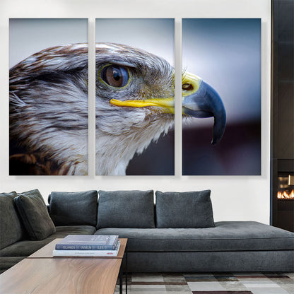 Falcon Bird Zoo decor