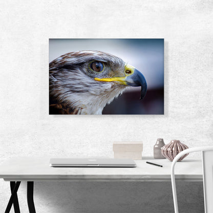 Falcon Bird Zoo decor