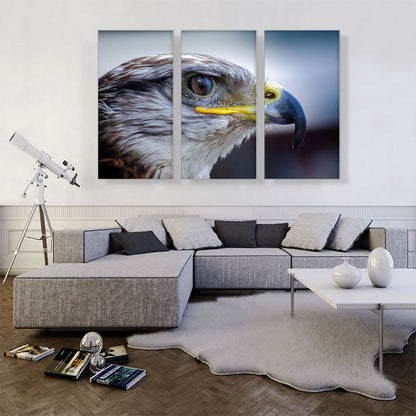 Falcon Bird Zoo decor