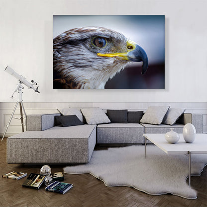 Falcon Bird Zoo decor