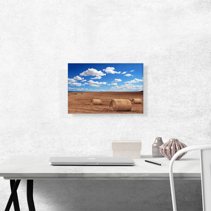 Field Agriculture Home decor