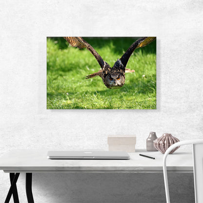 Flying Owl Home decor