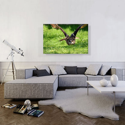 Flying Owl Home decor