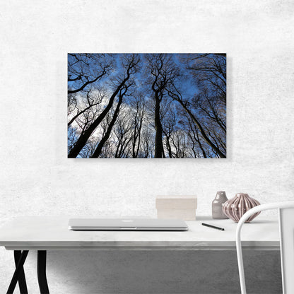 Forest Home Decor Rectangle
