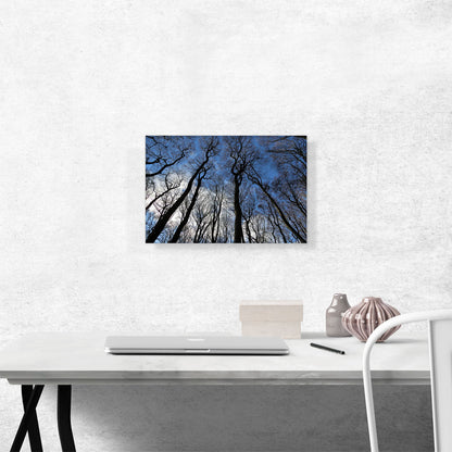 Forest Home Decor Rectangle