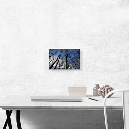 Forest Home Decor Rectangle