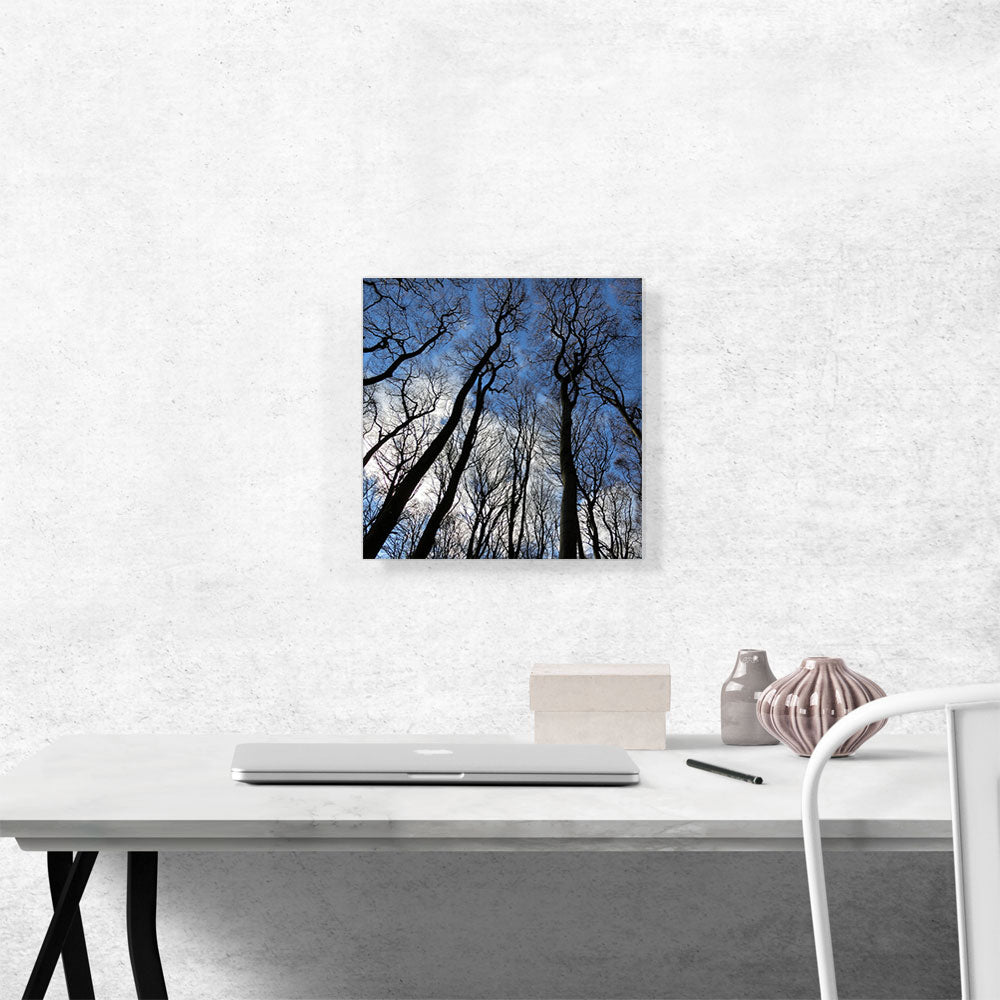 Forest Home Decor Square