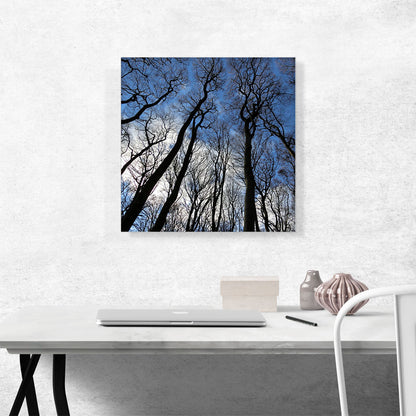 Forest Home Decor Square