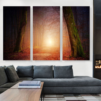 Forest Way Sunset Home decor