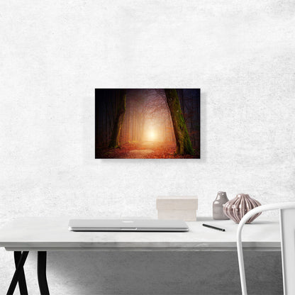 Forest Way Sunset Home decor