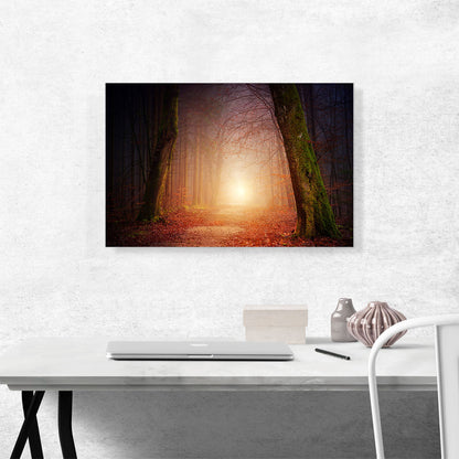 Forest Way Sunset Home decor