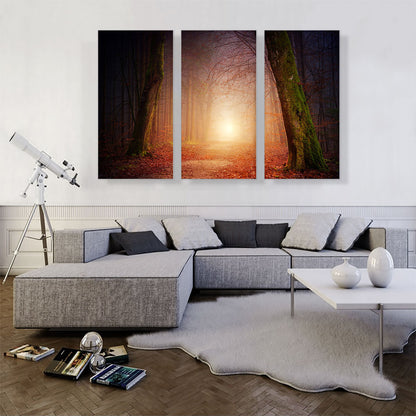Forest Way Sunset Home decor