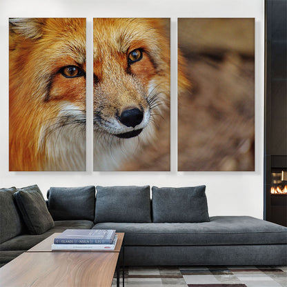 Fox' Face Home decor