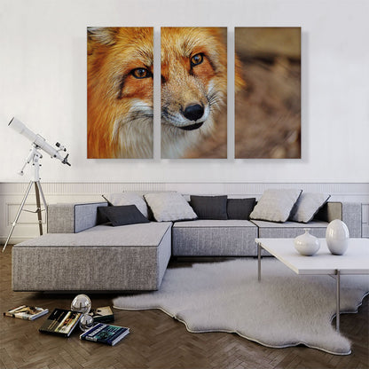 Fox' Face Home decor