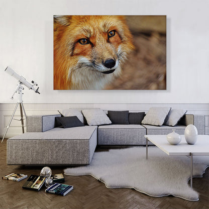 Fox' Face Home decor
