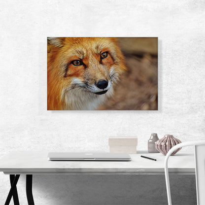 Fox' Face Home decor