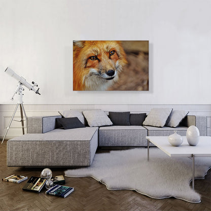 Fox' Face Home decor