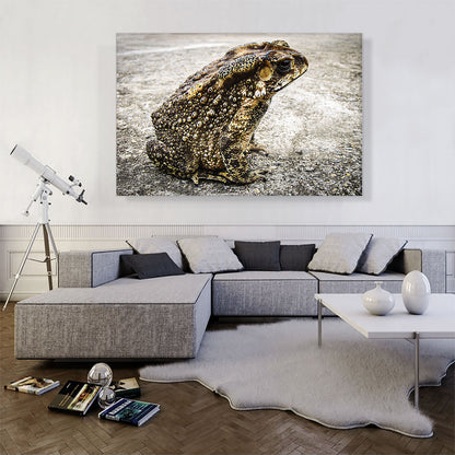 Frog Home decor