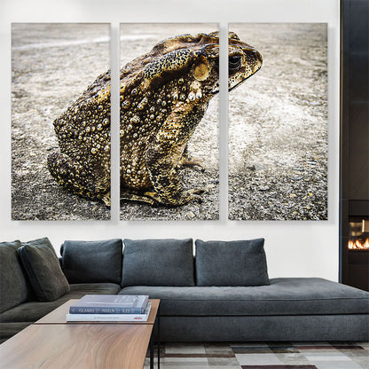Frog Home decor