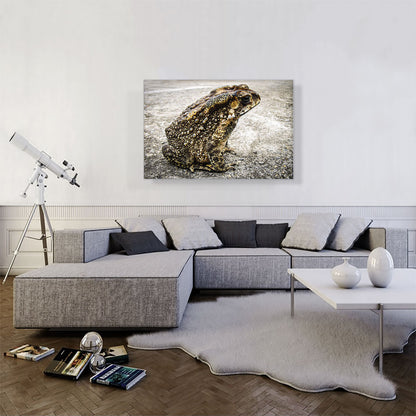 Frog Home decor