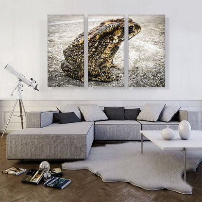 Frog Home decor