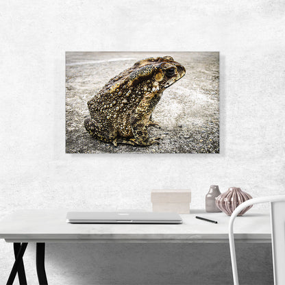 Frog Home decor