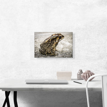 Frog Home decor