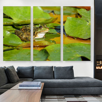 Frog On Lotus Home decor
