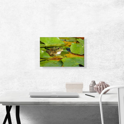 Frog On Lotus Home decor