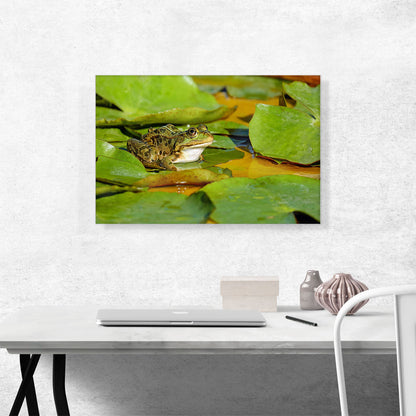 Frog On Lotus Home decor