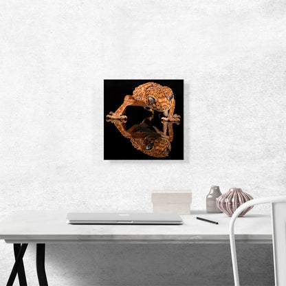 Gecko Home decor
