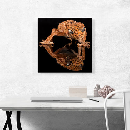 Gecko Home decor