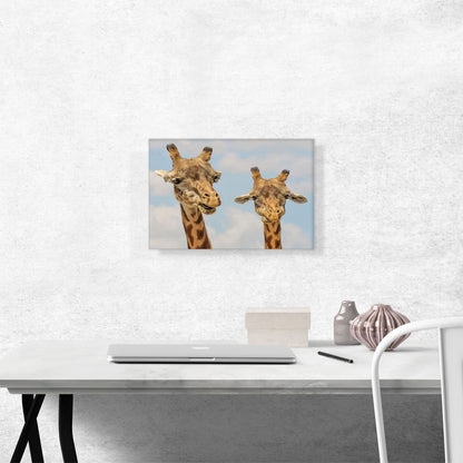 Giraffe Safari Zoo decor