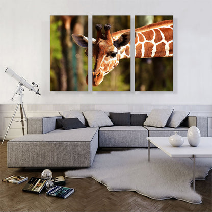 Giraffe Zoo decor