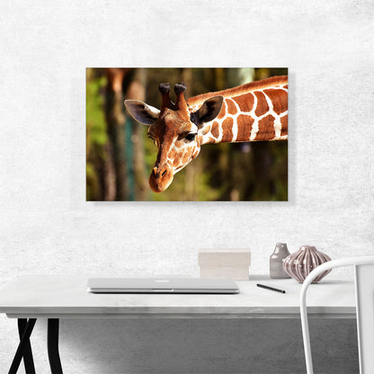 Giraffe Zoo decor