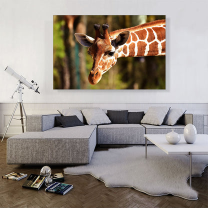 Giraffe Zoo decor