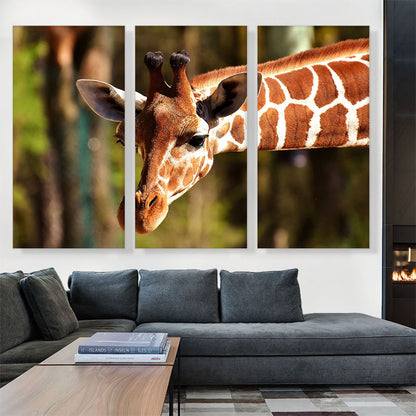 Giraffe Zoo decor