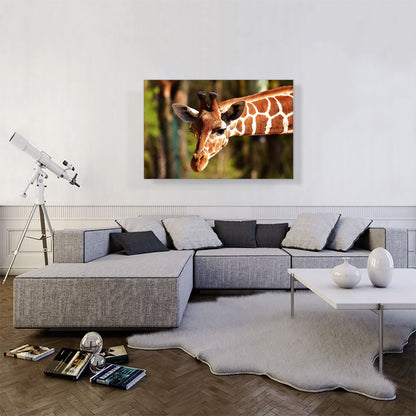 Giraffe Zoo decor