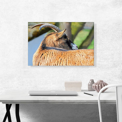Goat Home decor