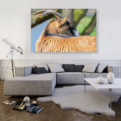 Goat Home decor