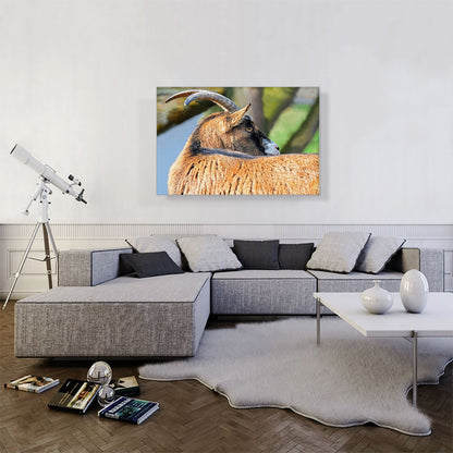 Goat Home decor