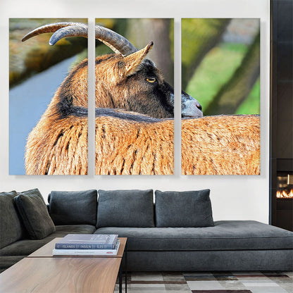 Goat Home decor