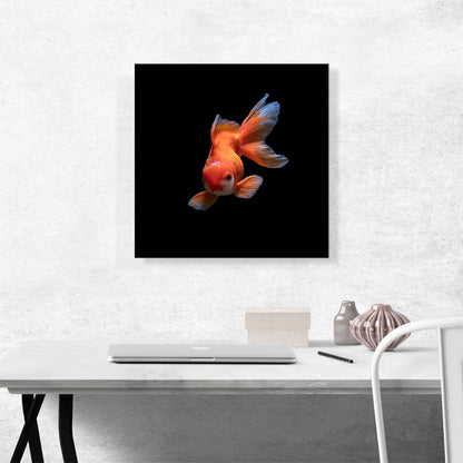 Gold Fish Home decor