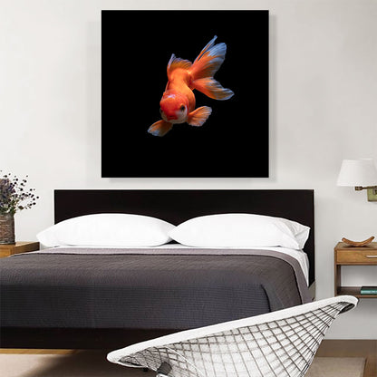 Gold Fish Home decor